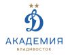 Академия Динамо