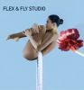 Flex and Fly
