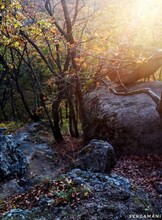 Тур в скальный комплекс «Долина Атлантов»