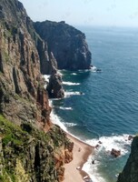 Тур «Вокруг острова русский с высадкой на острове Шкота + лежбище тюленей»