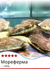 Тур «Мореферма с обедом (о. Русский)»