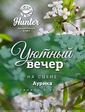 Уютный вечер. Аурика