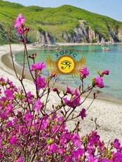 Тур в бухты Ежовая, Спокойная, Окуневая