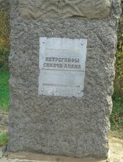 Экскурсия на Амурские петроглифы (п. Сикачи Алян)