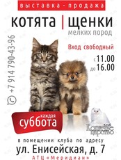Выставка-продажа элитных котят и щенков мелких пород