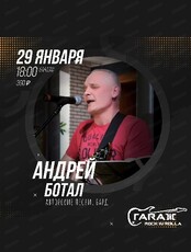 Концерт Андрея Ботала