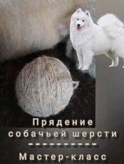 Мастер-класс «Прядение на веретене собачьей шерсти»