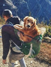 Треккинговый тур "На Воронеж" (для организованных)