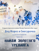 Новогодний квест «Найди золотого Трепанга». Дед Мороз и Снегурочка