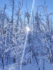 Гора Ольховая. Зимняя сказка