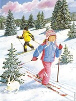 Тур «Зимний отдых в Анисимовке»