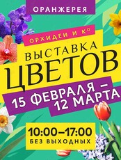 Цветочный фестиваль "Орхидеи и Ко"