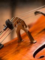 Концертная программа «Песни военных лет»