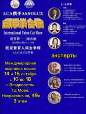 Международная выставка кошек