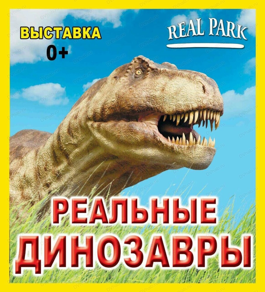 Выставка 