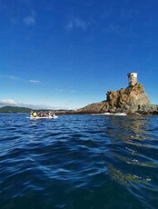 Морское недельное путешествие на сапах по Японскому морю