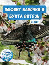 Тур "Эффект бабочки и бухта Витязь" (2 дня)