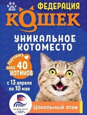 Выставка "Федерация Кошек"