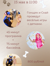 Игровая программа "Щенячий патруль"