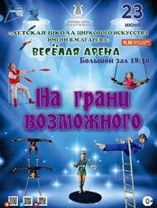 Цирковое представление "На грани возможного"