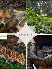 Экскурсия в Сафари-парк