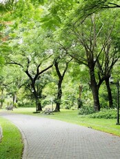 Стрит-фитнес в парке