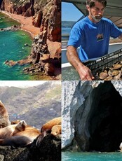 Тур «Морское приключение: о. Русский, о. Шкота, м. Тобизина, морские котики и мореферма»