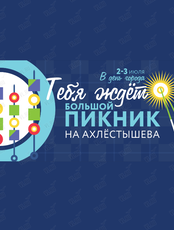 Городской пикник на Ахлестышева
