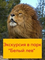 Экскурсия в парк «Белый лев»