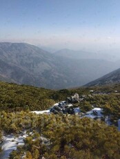 Тур «Гора Снежная + гора Облачная»