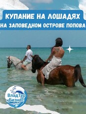 Купание на лошадях на заповедном острове Попова