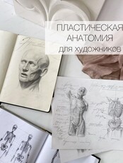 Курс "Пластическая анатомия для художников"