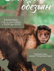 Выставка обезьян и рептилий