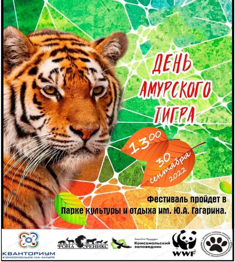 Международный день тигра. День тигра владивосток. С днем амурского тигра. Праздник тигра. С днем амурского тигра.