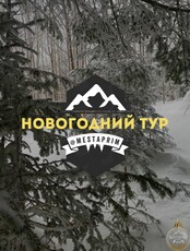 Новогодний тур "Земля леопарда"