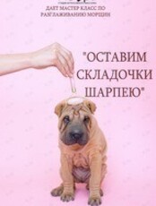 Мастер-класс по массажу лица "Оставим складочки шарпею"