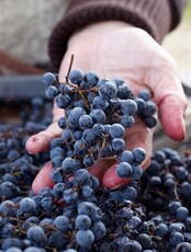 Тур «Водопад Маруськины слёзы и Майхинское хозяйство»