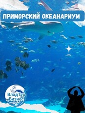 Экскурсия в Приморский океанариум