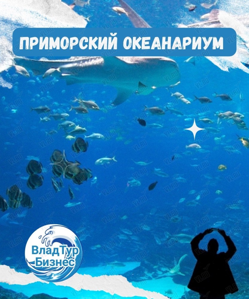 Экскурсия в Приморский океанариум во Владивостоке 24 августа 2023 в  ВладТурБизнес