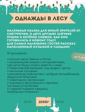 Новогодняя программа "Однажды в лесу"