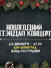 Большой новогодний стэндап концерт