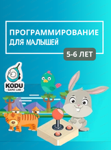 Программирование для малышей от 5 лет