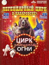 Цирковая программа "Цирк зажигает огни"