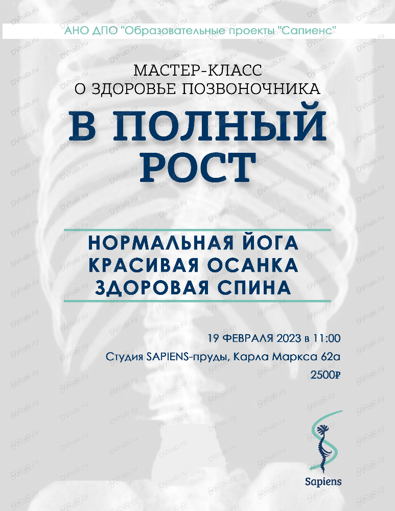 Мастер – класс «Гибкий позвоночник сохраняет молодость и здоровье»