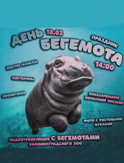 День бегемота
