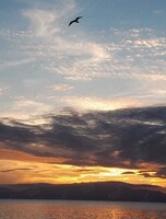 Катерная экскурсия «Мосты и закаты»