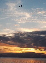 Катерная экскурсия «Мосты и закаты»