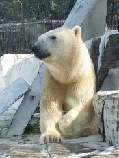 Показательные кормления в зоосаде