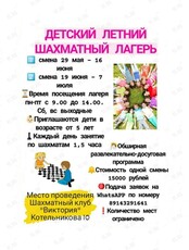 Дневной шахматный лагерь