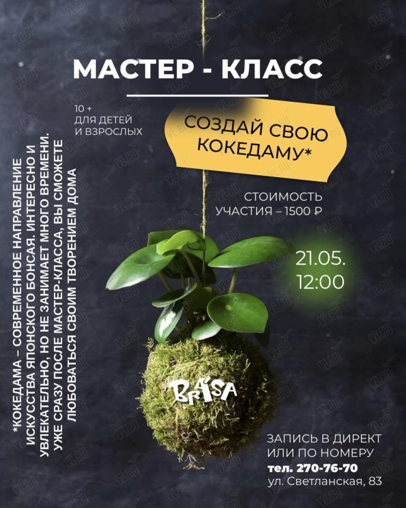 Мастер-класс «Кокедама» (в японском стиле)